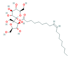 Sucrose oleate