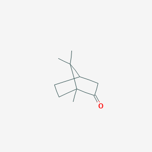 CAMPHOR