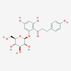 phloridzin