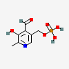 Lactoglobulin