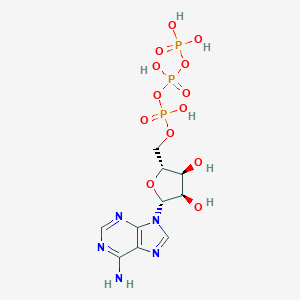 ADENOSINE TRIPHOSPHATE