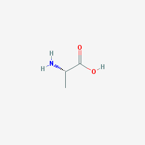 ALANINE